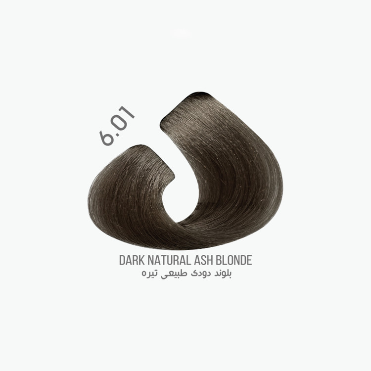 رنگ مو 100 میل میس بلیچ سری طبیعی خاکستری شماره 6.01